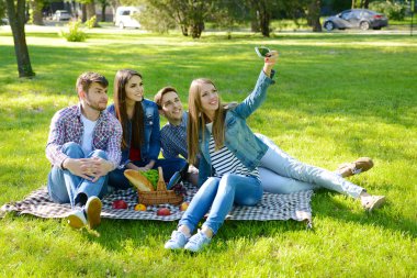 Parkta piknik üzerinde mutlu arkadaşlar
