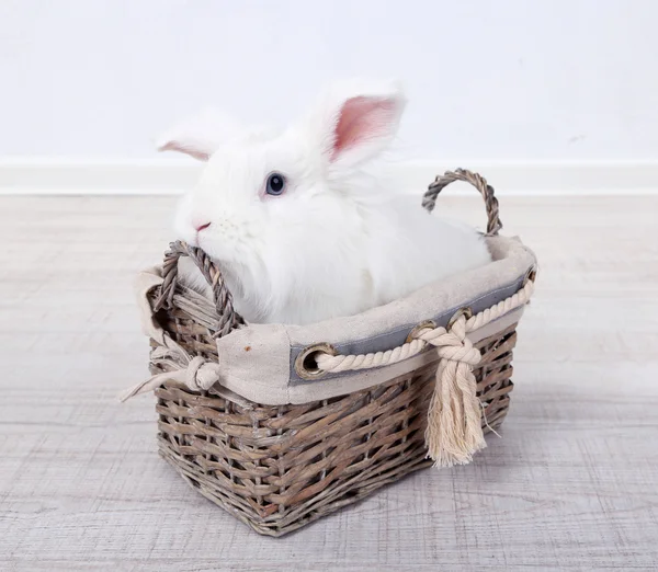 White cute rabbit in basket, close up — Stock Photo, Image