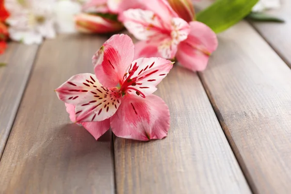 Frumoase flori Alstroemeria pe masa de lemn — Fotografie, imagine de stoc