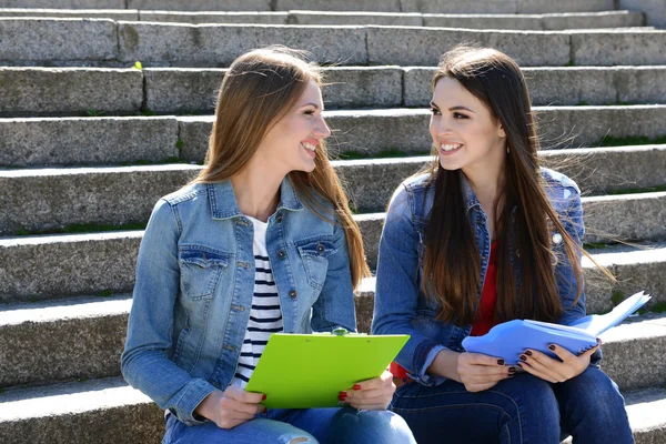 Estudiantes felices sentados en escaleras en el parque —  Fotos de Stock