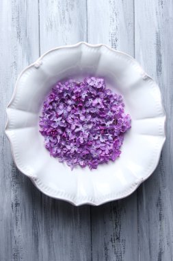 renkli ahşap zemin üzerinde beyaz tabakta güzel Eflatun çiçekler