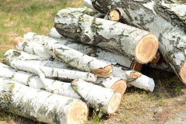 yakacak odun yakın çekim