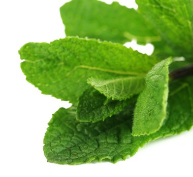 Beyazda izole edilmiş nane