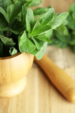 Beyazda izole edilmiş nane