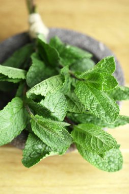 Beyazda izole edilmiş nane