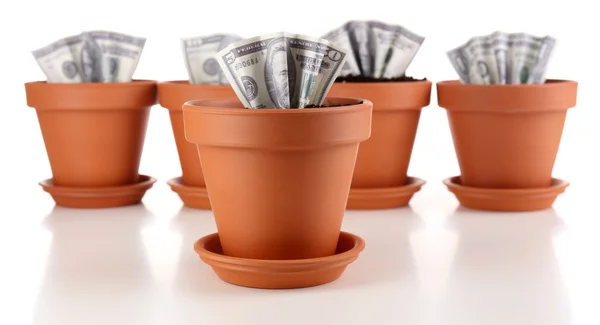 Konsep bisnis: tumbuh uang di pot bunga, terisolasi di atas putih — Stok Foto