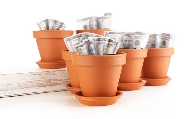 Business concept: growing money in the flowerpots, isolated on white — Stock Photo, Image