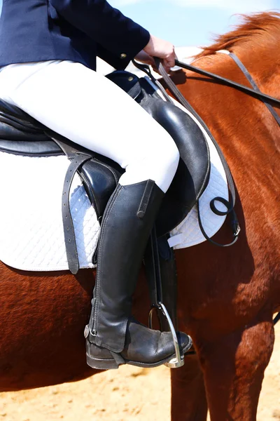 Hermosa chica con caballo al aire libre, primer plano —  Fotos de Stock