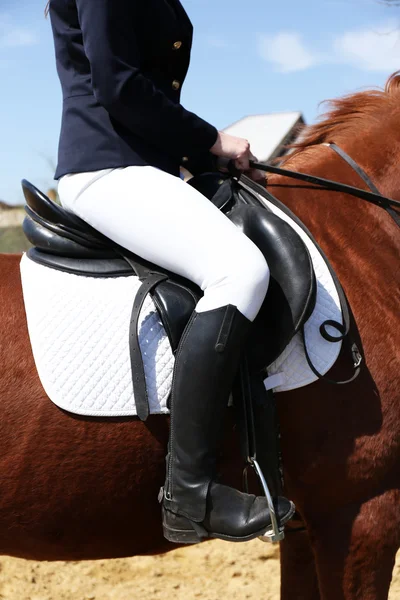 Menina bonita com cavalo ao ar livre, close-up — Fotografia de Stock