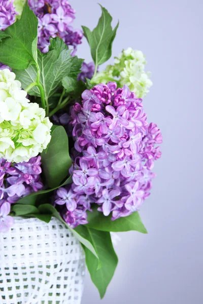 Prachtige Lentebloemen in vaas op grijze achtergrond — Stockfoto