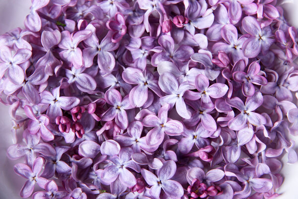 Beautiful lilac flowers on white plate on color tablecloth background