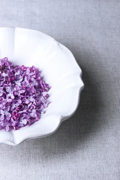 Beautiful lilac flowers on white plate on color tablecloth background — Stock Photo, Image