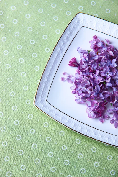 Beautiful lilac flowers on white plate on color tablecloth background — Stock Photo, Image