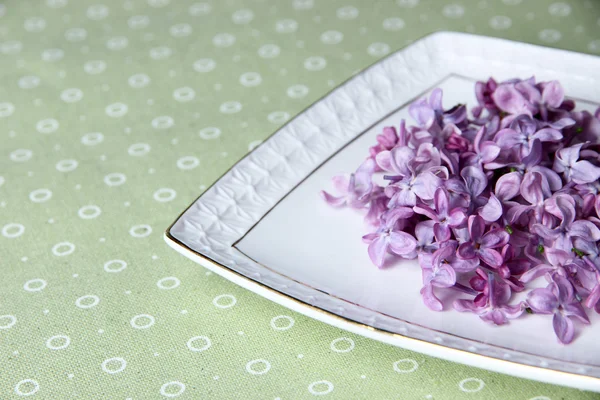 Beautiful lilac flowers on white plate on color tablecloth background — Stock Photo, Image
