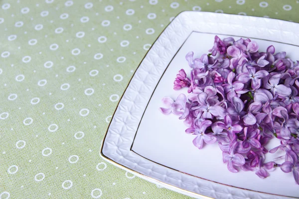 Mooie lila bloemen op wit bord op kleur tafellaken achtergrond — Stockfoto