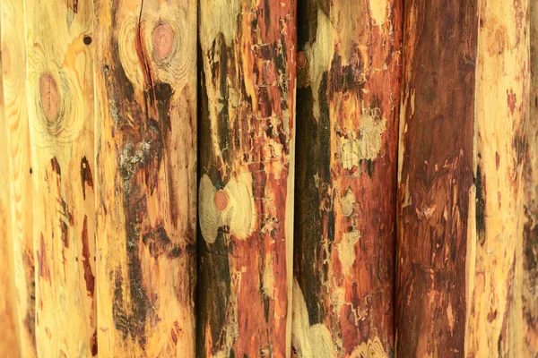 Fából készült textúra közelről — Stock Fotó