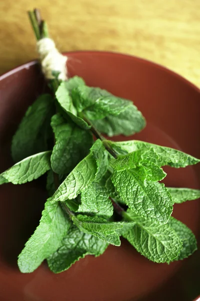 Mint diisolasi dengan warna putih — Stok Foto