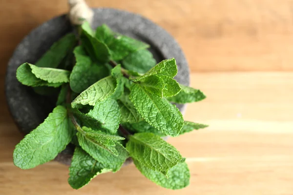 Mint diisolasi dengan warna putih — Stok Foto