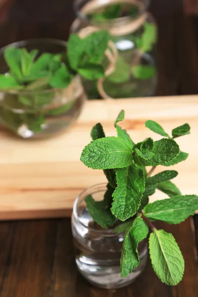 Mint dalam botol kaca pada latar belakang kayu — Stok Foto