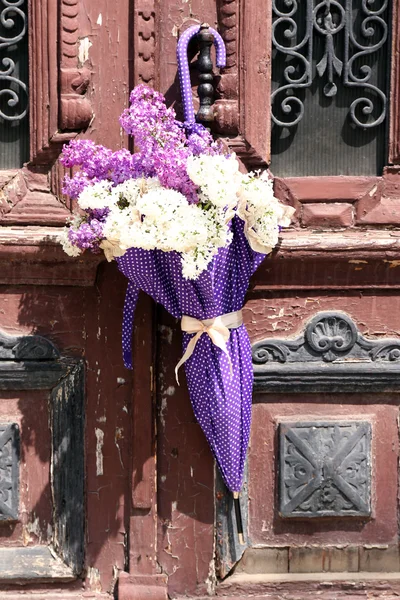 Belles fleurs lilas en parapluie sur de vieilles portes en bois — Photo