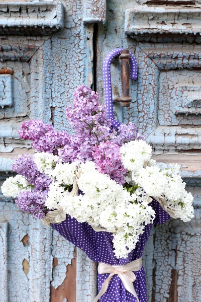 Vackra lila blommor i paraply på gamla trädörrar — Stockfoto