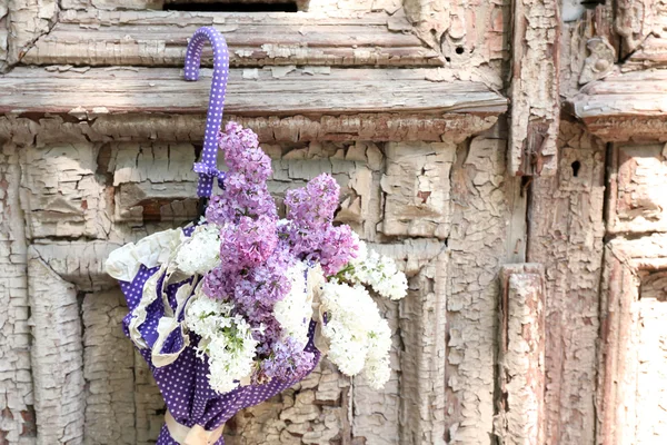 Belles fleurs lilas en parapluie sur de vieilles portes en bois — Photo
