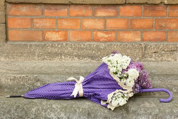 Mooie lila bloemen in paraplu op oude muur achtergrond — Stockfoto