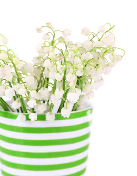 Beautiful lilies of the valley in cup, isolated on white — Stock Photo, Image