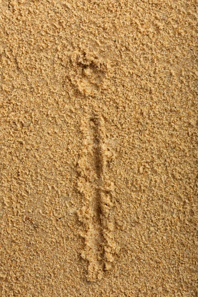 Alfabet brief geschreven op natte strand zand — Stockfoto