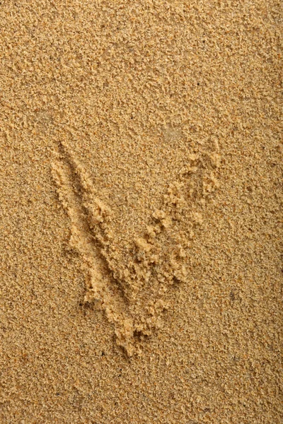 Lettre alphabet écrite sur sable de plage humide — Photo