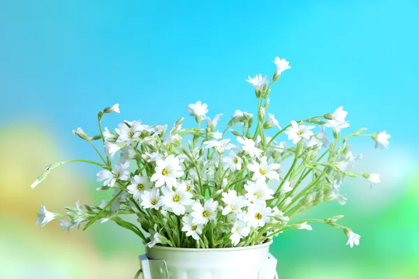 Bright wildflower in decorative bucket on wooden table, on light background — Stock Photo, Image