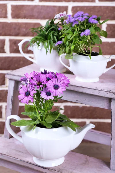 Květiny v dekorativní květináče na žebříku, na pozadí cihly — Stock fotografie