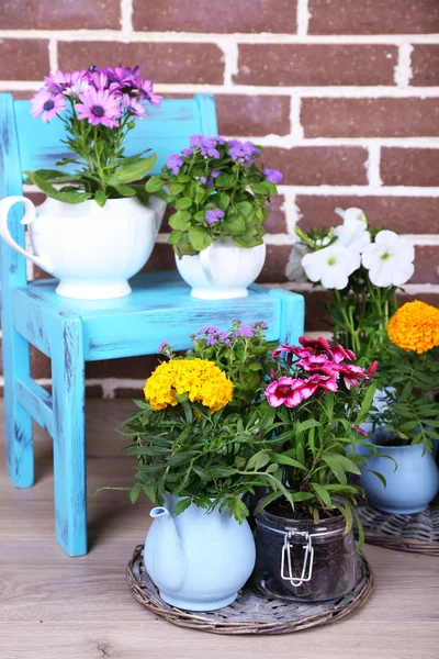 Blommor i dekorativa krukor på stol, på tegelstenar bakgrund — Stockfoto