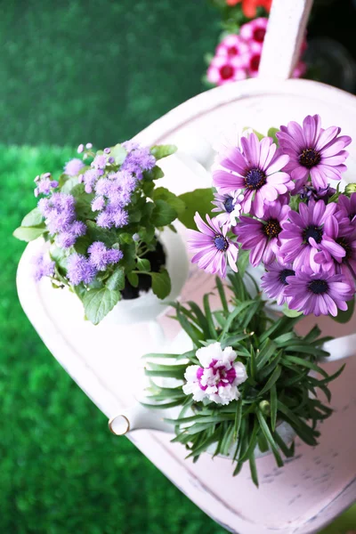 Flores em vasos decorativos na cadeira, close-up — Fotografia de Stock