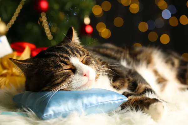 Carino gatto sdraiato su tappeto con decorazioni natalizie — Foto Stock