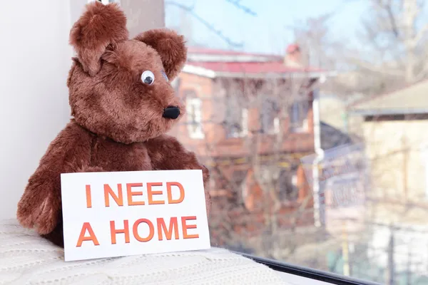 Toy-bear looking out window close-up — Stock Photo, Image