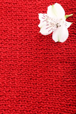 Beautiful flower on knitted fabric background clipart