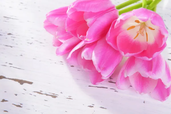 Vackra tulpaner i hinken på bordet närbild — Stockfoto