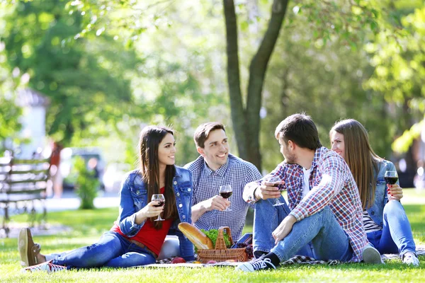 Glückliche Freunde beim Picknick im Park — Stockfoto