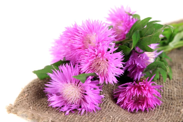 Cornflowers on sackcloth isolated on white — Stock Photo, Image