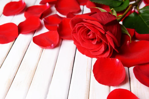 Hermosos pétalos de rosas rojas sobre fondo de madera —  Fotos de Stock