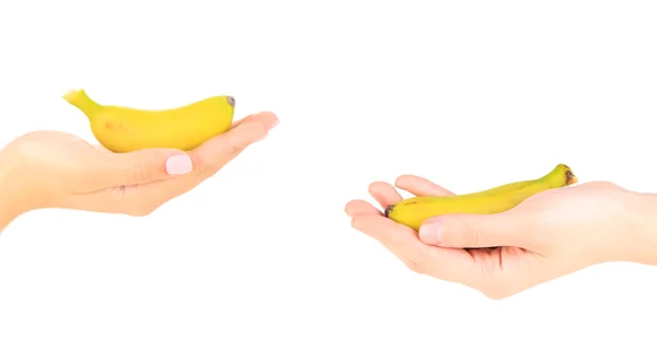 Kvinnliga händer som håller mini banan, isolerad på vit — Stockfoto