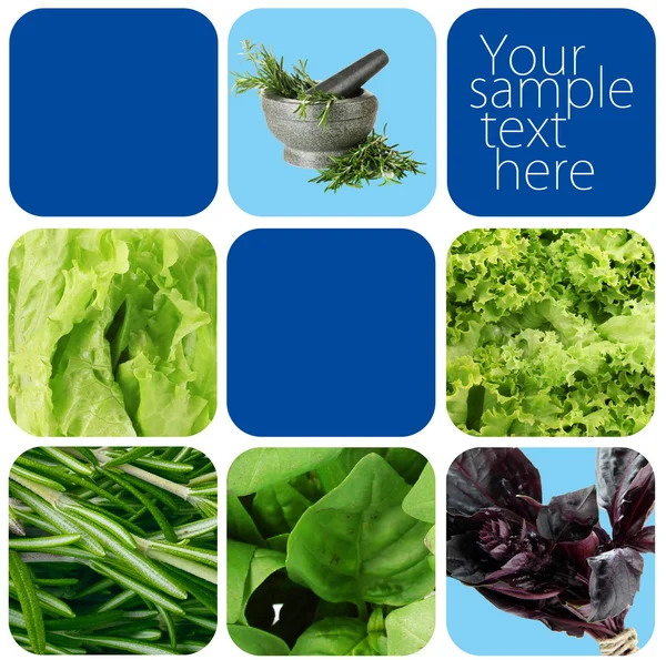 Collage de hierbas saludables —  Fotos de Stock