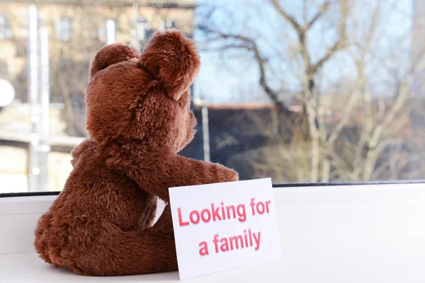 Toy-bear looking out window close-up — Stock Photo, Image