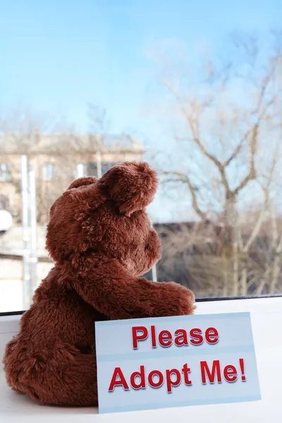 Toy-bear looking out window close-up — Stock Photo, Image