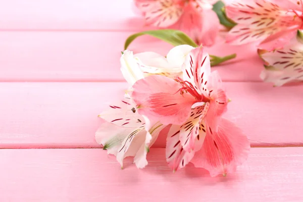 Beautiful Alstroemeria flowers on wooden table — Stock Photo, Image