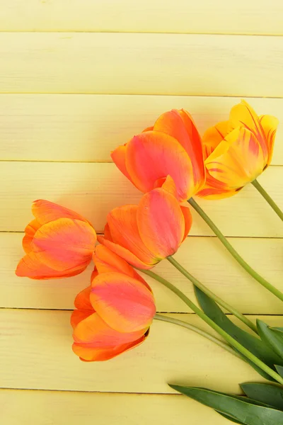 Tulipas bonitas em balde na mesa close-up — Fotografia de Stock