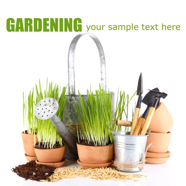 Grama verde em vasos de flores e ferramentas de jardinagem, isolado em branco — Fotografia de Stock