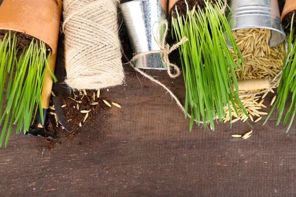 Πράσινο γρασίδι σε γλάστρες και τα εργαλεία κηπουρικής, σε ξύλινο φόντο — Φωτογραφία Αρχείου