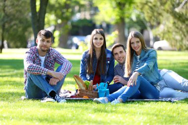 Parkta piknik üzerinde mutlu arkadaşlar